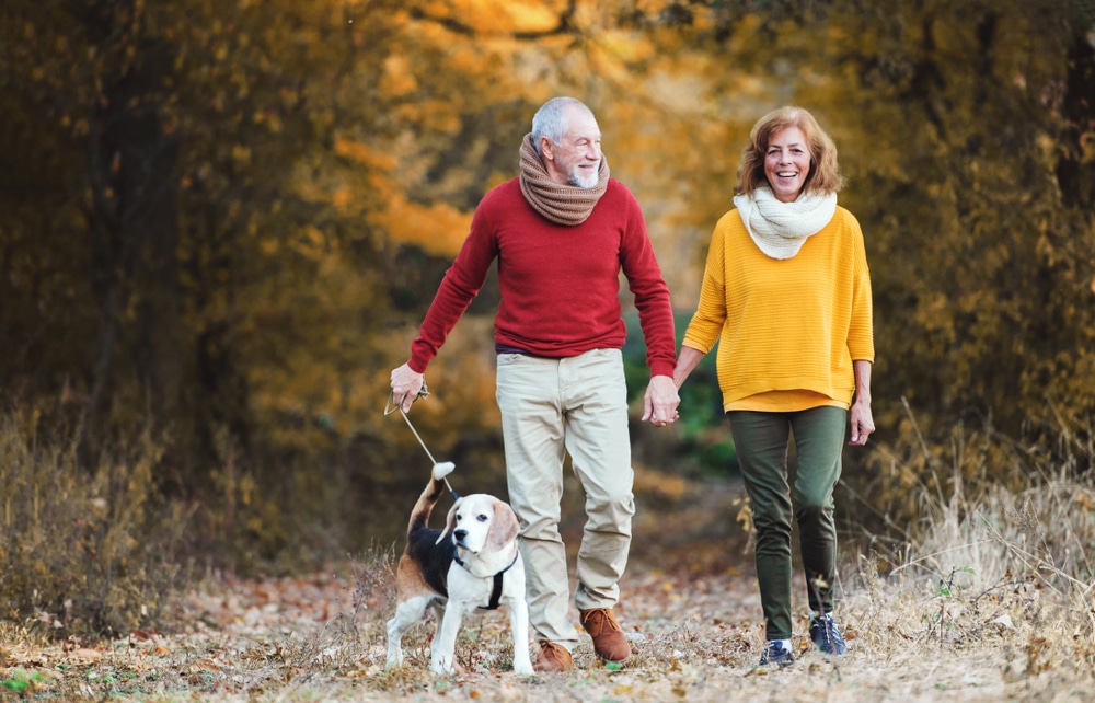 A,Senior,Couple,With,A,Dog,On,A,Walk,In