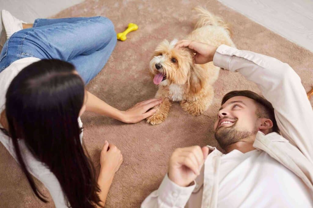 Couple-playing-with-their-dog-after-pet-planning-in-Garden-City-NY-scaled (1)_updated